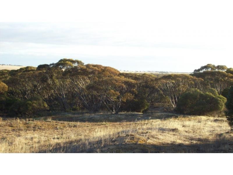 Lot 103 Jackson Rd, Ettrick SA 5253
