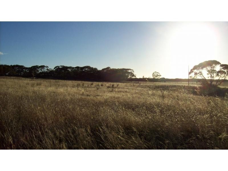 Lot 103 Jackson Rd, Ettrick SA 5253