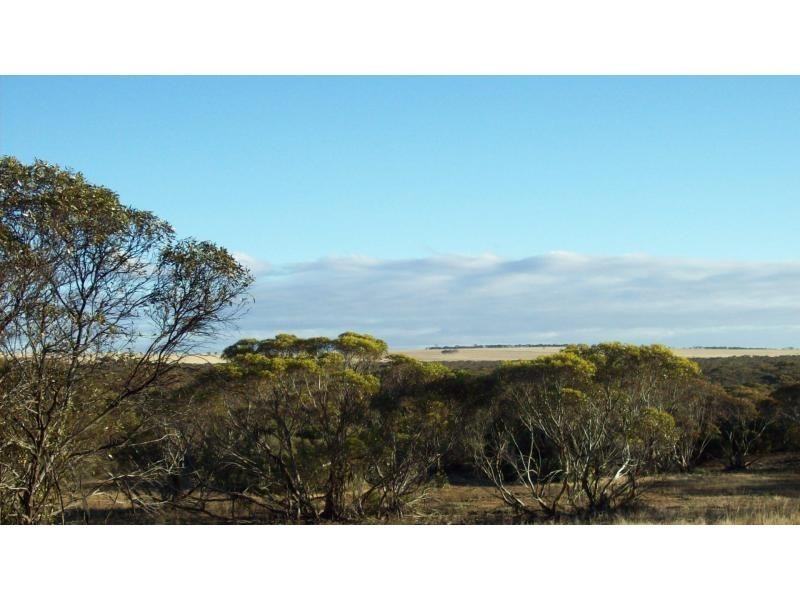 Lot 103 Jackson Rd, Ettrick SA 5253