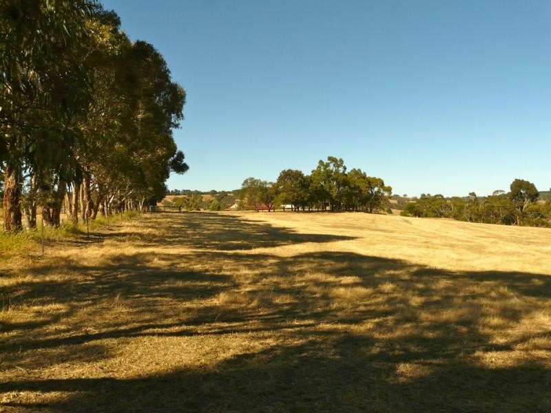 353A Dashwood Gully Road, Kangarilla SA 5157