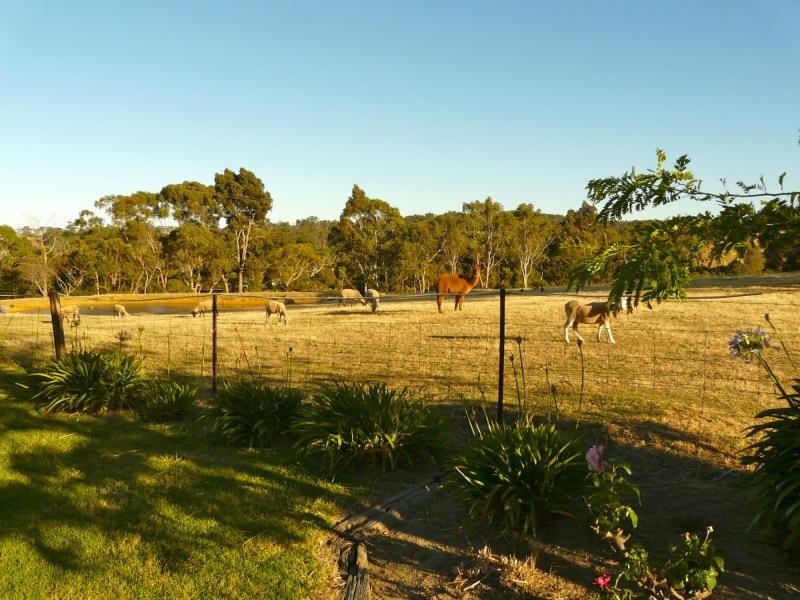 353A Dashwood Gully Road, Kangarilla SA 5157