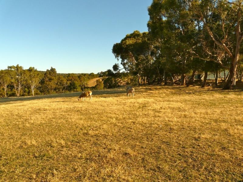 353A Dashwood Gully Road, Kangarilla SA 5157