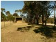 353A Dashwood Gully Road, Kangarilla SA 5157