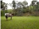 19 St Ninians Road, Clarendon SA 5157