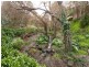 19 St Ninians Road, Clarendon SA 5157