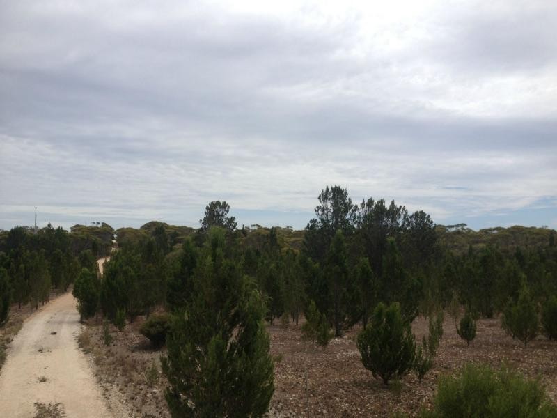 Lot 19 Ferries McDonald Rd, Monarto South SA 5254