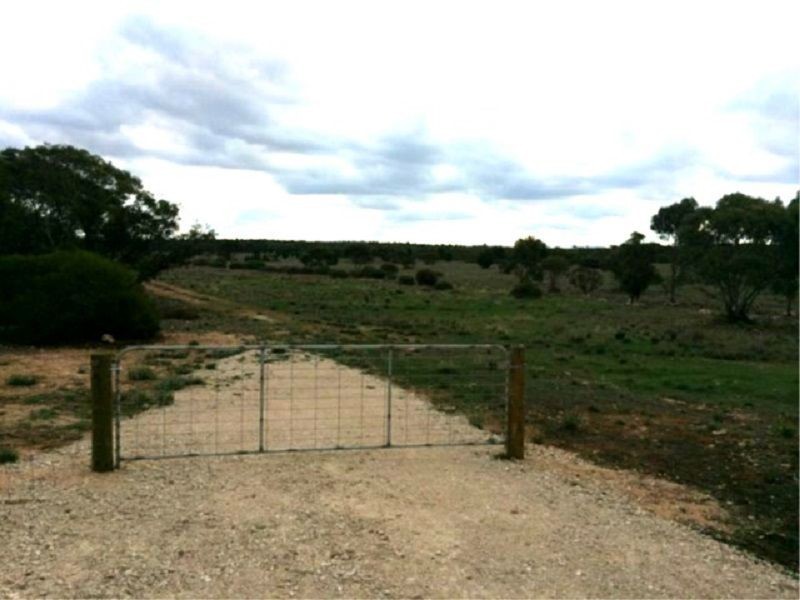 Lot 19 Ferries McDonald Rd, Monarto South SA 5254