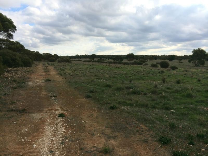 Lot 19 Ferries McDonald Rd, Monarto South SA 5254