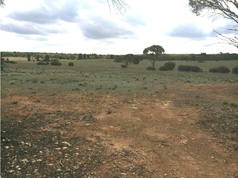 Lot 19 Ferries McDonald Rd, Monarto South SA 5254