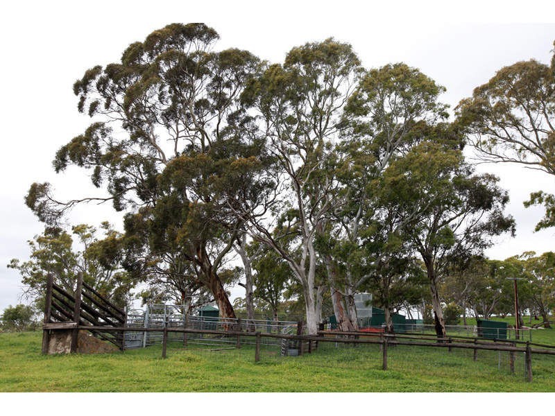 L2748 Strathalbyn Road, Macclesfield SA 5153