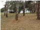 103 Naughton Rd, Woodside SA 5244
