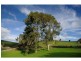 10 Bald Hill Road, Bull Creek Via, Meadows SA 5201