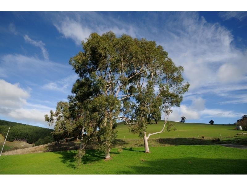 10 Bald Hill Road, Bull Creek Via, Meadows SA 5201