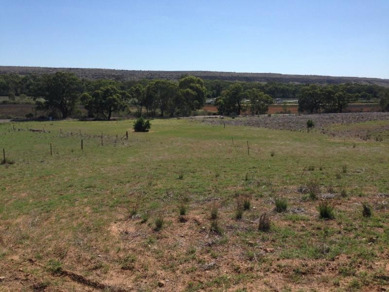 Lot 2 Eastfront Rd, Younghusband SA 5238