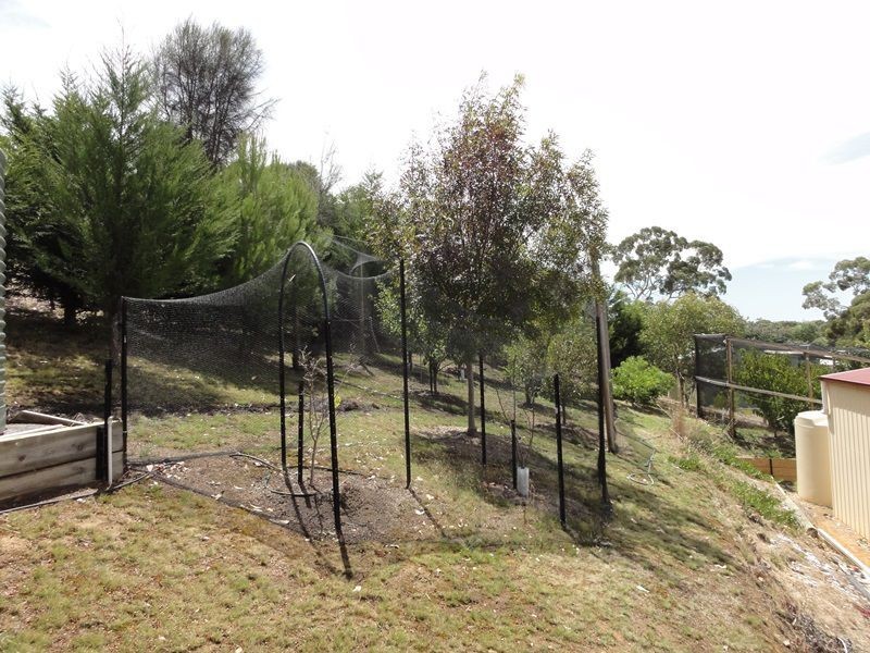7 London Court, Mount Barker SA 5251
