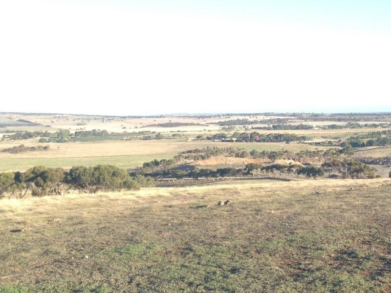 Lot 6/2001 Samuels Rd, Callington SA 5254
