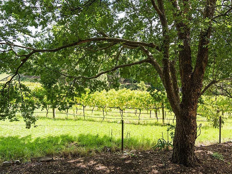 1165 Greenhill Road, Uraidla SA 5142