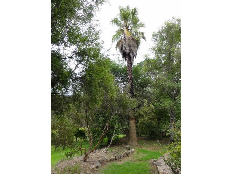 1165 Greenhill Road, Uraidla SA 5142