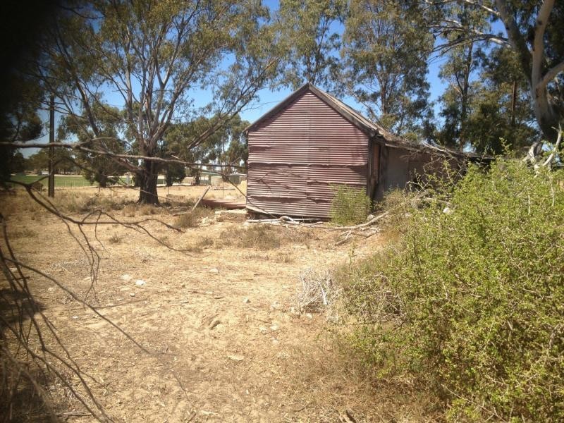 LOT 305 Mallee Highway, Peake SA 5301