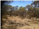 LOT 305 Mallee Highway, Peake SA 5301