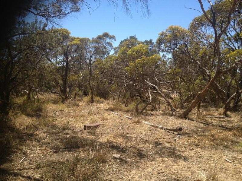 LOT 305 Mallee Highway, Peake SA 5301