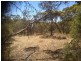 LOT 305 Mallee Highway, Peake SA 5301