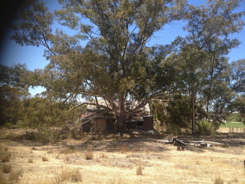 LOT 305 Mallee Highway, Peake SA 5301