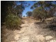 LOT 305 Mallee Highway, Peake SA 5301