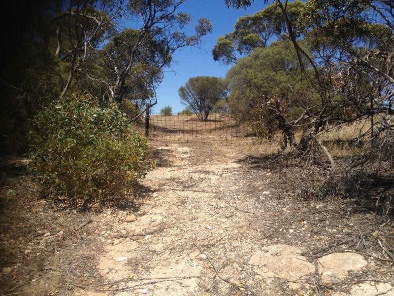 LOT 305 Mallee Highway, Peake SA 5301