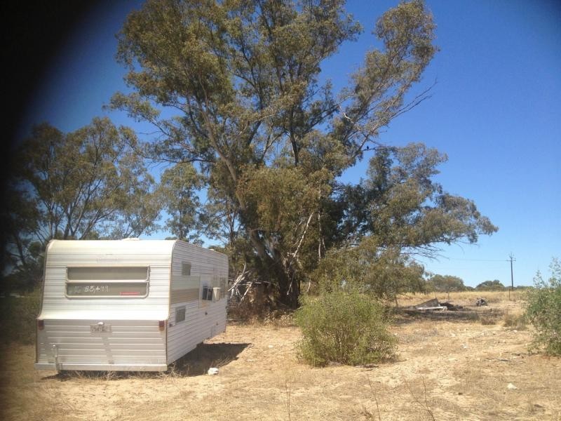 LOT 305 Mallee Highway, Peake SA 5301