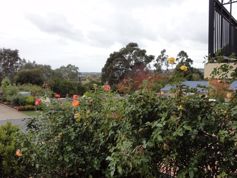 10 Silverwood Drive, Mount Barker SA 5251