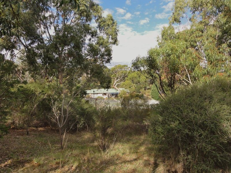 51 Daddow Road, Mount Barker SA 5251
