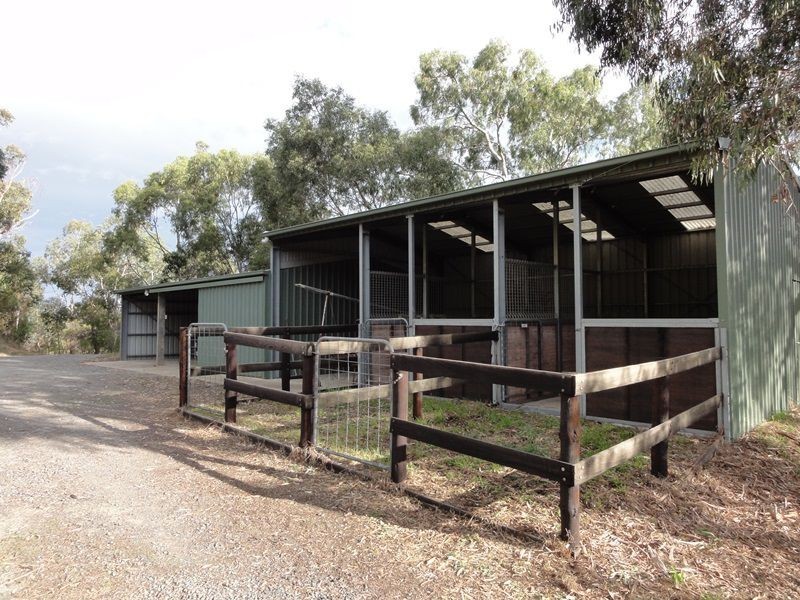 51 Daddow Road, Mount Barker SA 5251
