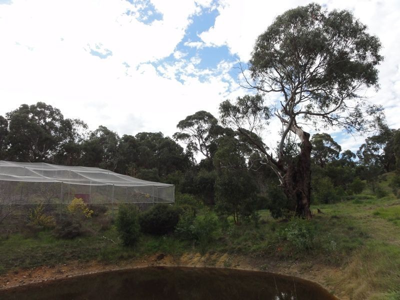 51 Daddow Road, Mount Barker SA 5251