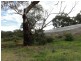 51 Daddow Road, Mount Barker SA 5251