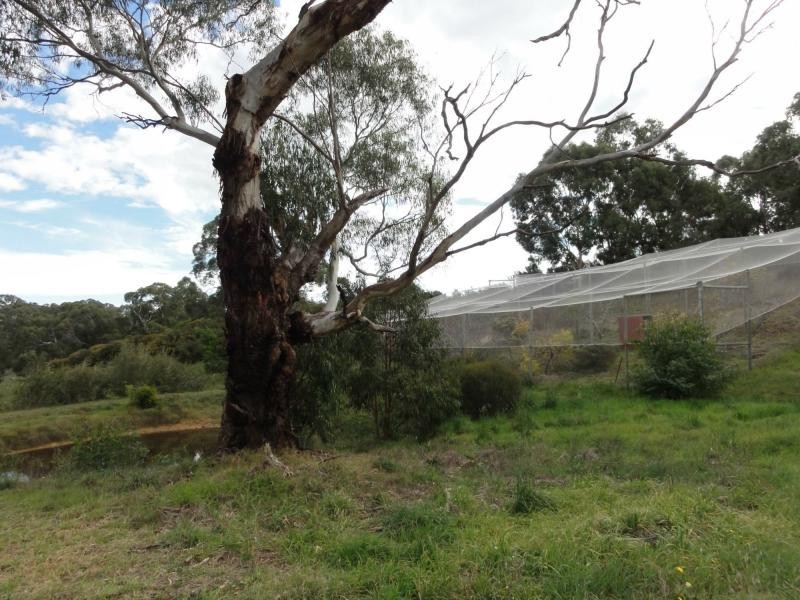51 Daddow Road, Mount Barker SA 5251