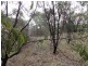 51 Daddow Road, Mount Barker SA 5251