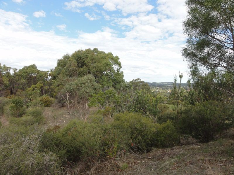 51 Daddow Road, Mount Barker SA 5251