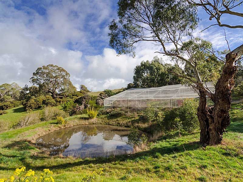 51 Daddow Road, Mount Barker SA 5251