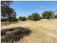 28 Avenue Road, Strathalbyn SA 5255