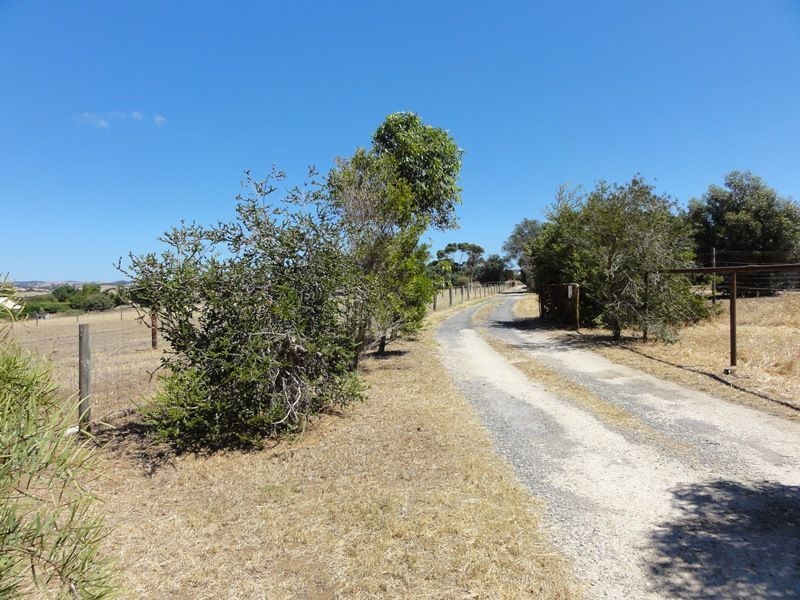 28 Avenue Road, Strathalbyn SA 5255