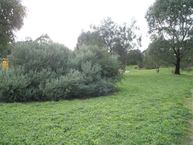 12 Chapman Crescent, Nairne SA 5252