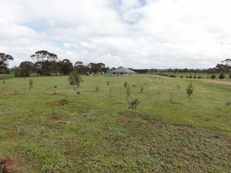 1259 South Bremer Road, Hartley SA 5255