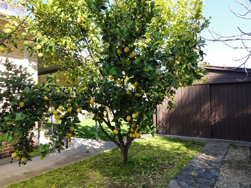 26 Victoria Road, Mount Barker SA 5251