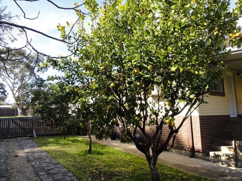 26 Victoria Road, Mount Barker SA 5251