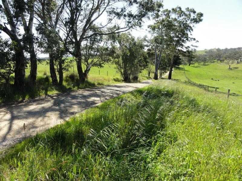 Mount Torrens SA 5244