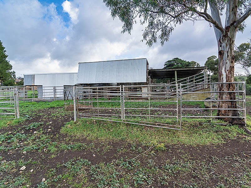 359 Scrubby Hill Road , (South Of Mt. Barker), Highland Valley SA 5255