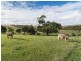 359 Scrubby Hill Road, Wistow SA 5251