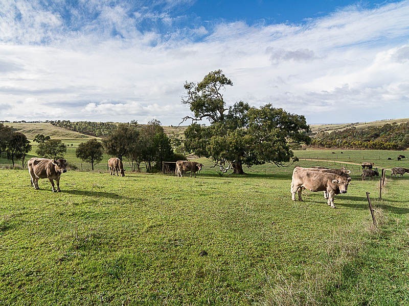 359 Scrubby Hill Road, Wistow SA 5251