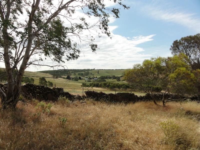 359 Scrubby Hill Road, Wistow SA 5251